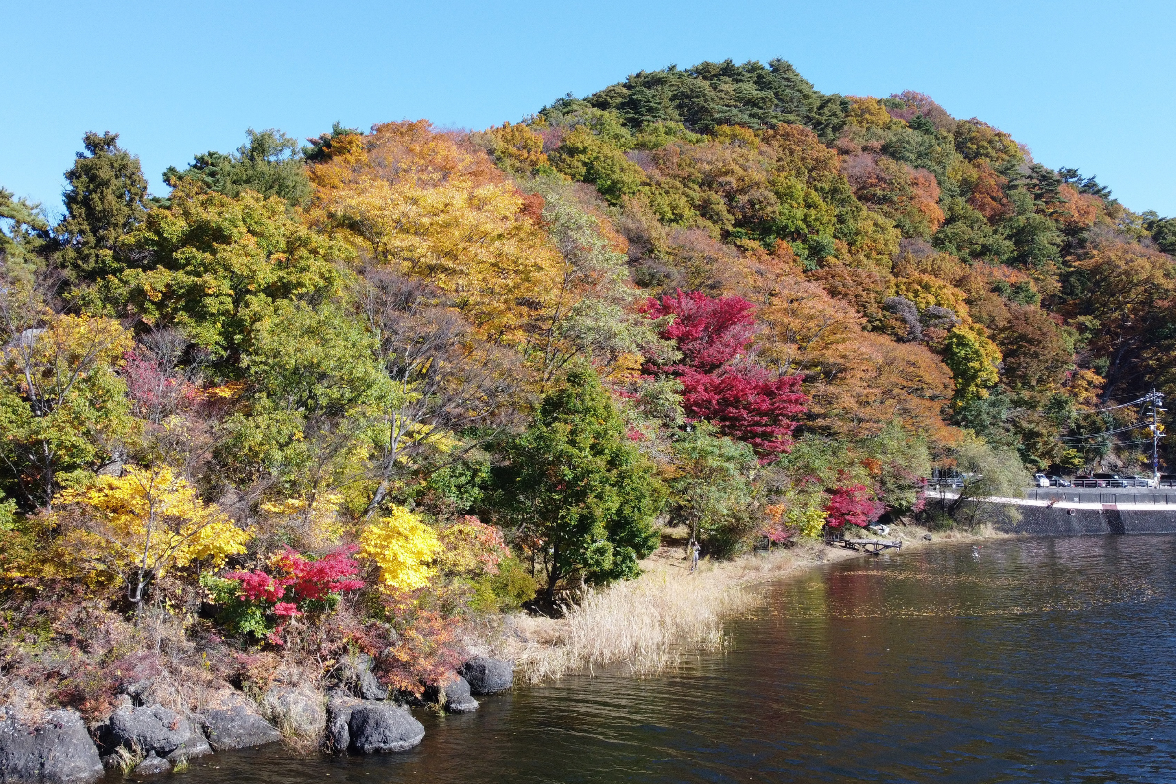 fujikawaguchiko (4).webp